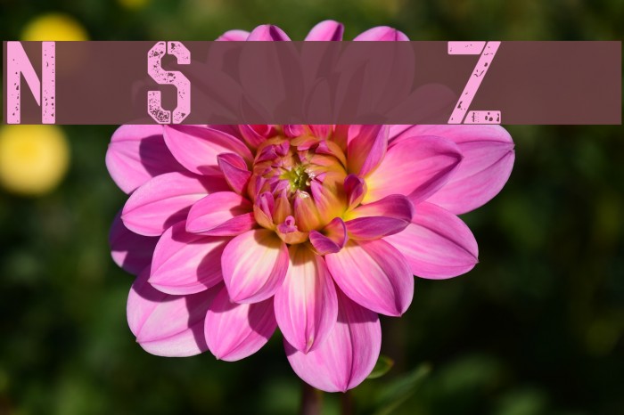 No Safety Zone Example 1