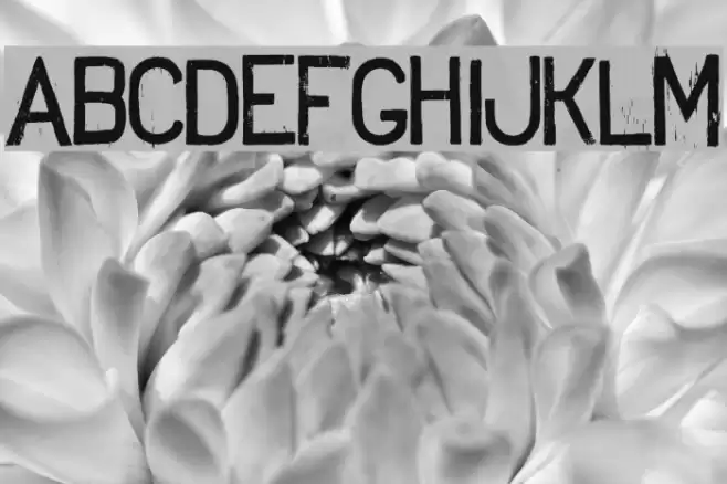 No Silly Walk There Font examples