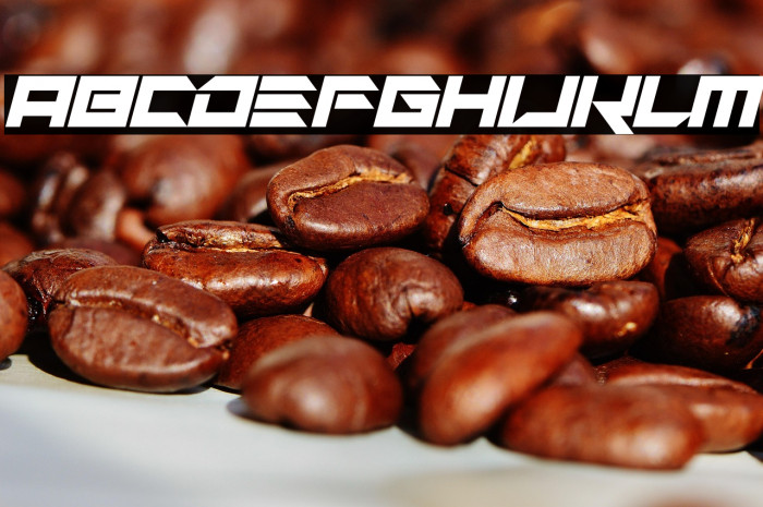 No Surrender Italic Example 2