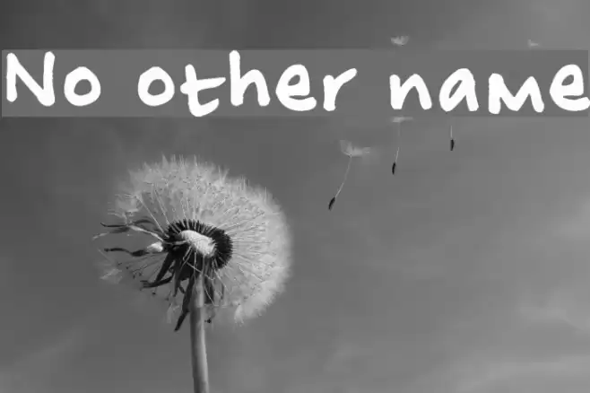 No other name Font examples