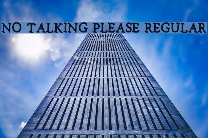 No talking please Regular Font examples