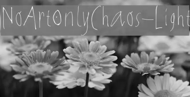 NoArtOnlyChaos-Light Font examples