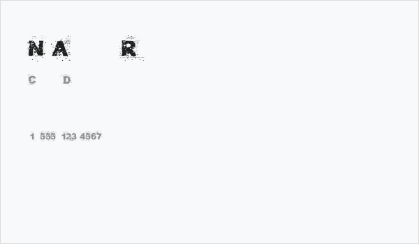 NoAutority Regular Business Card