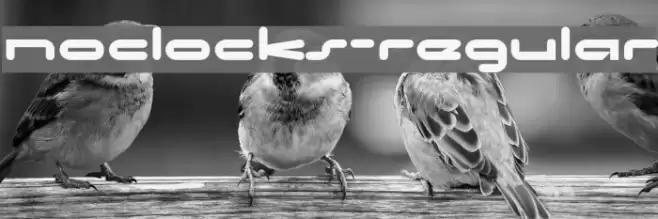 NoClocks-Regular Font examples