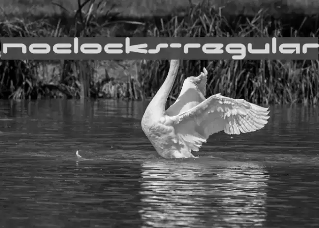 NoClocks-Regular Font examples