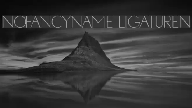 NoFancyName Ligaturen Font examples