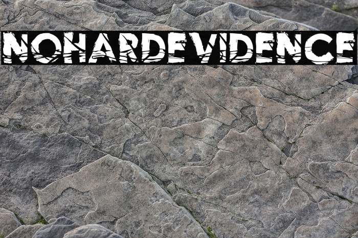 NoHardEvidence Font examples
