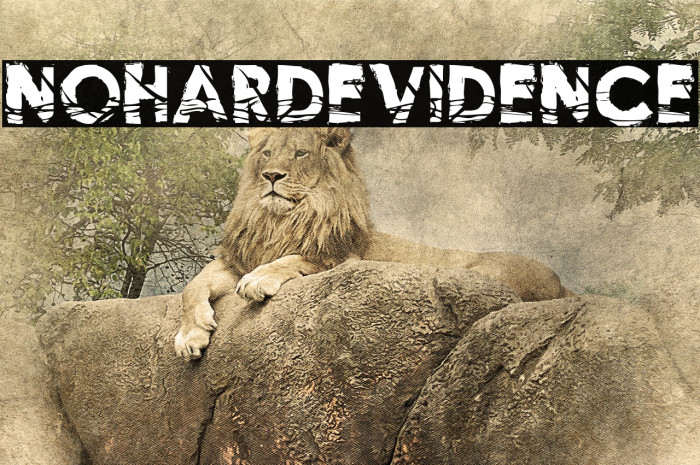 NoHardEvidence Font examples