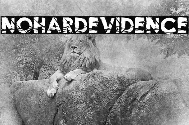 NoHardEvidence Example 2