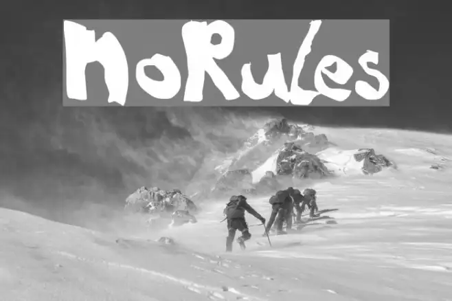 NoRules Example 2