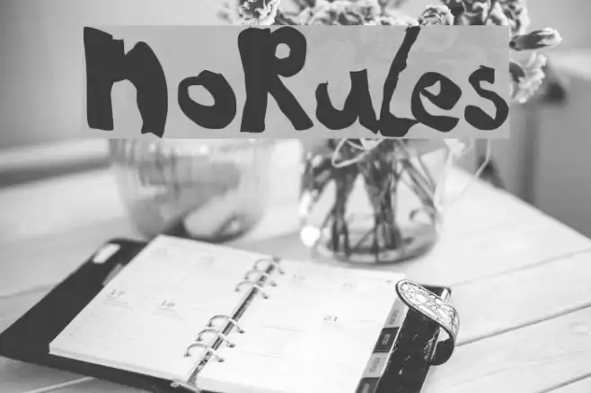 NoRules Example 3