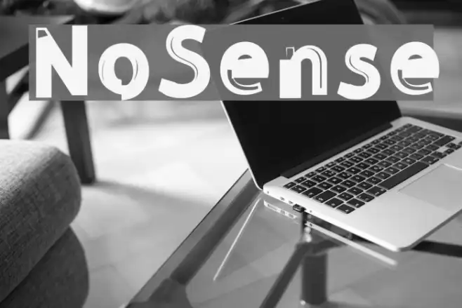 NoSense Example 1