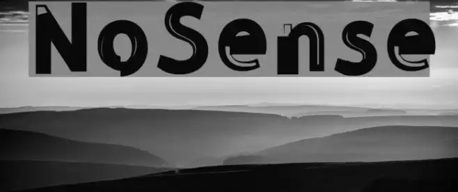 NoSense Example 2