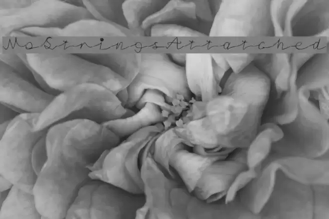 NoStringsAttatched Font examples