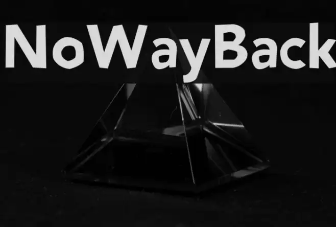 NoWayBack Example 1