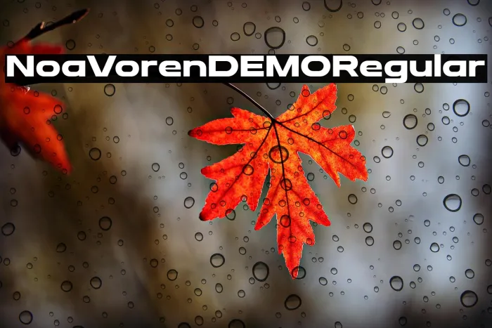 Noa Voren DEMO Regular Example 1