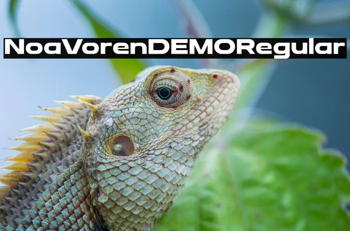 Noa Voren DEMO Regular Example 2