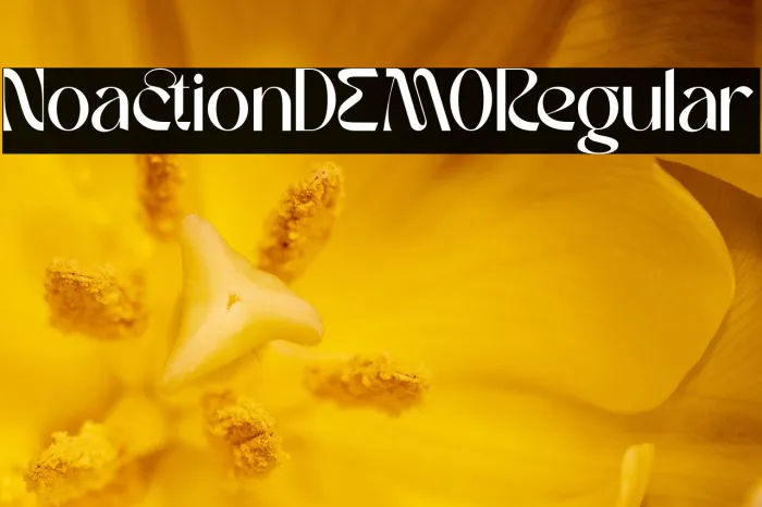 Noaction DEMO Regular Example 1