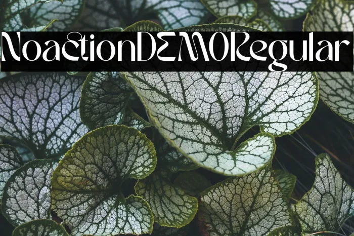 Noaction DEMO Regular Example 3