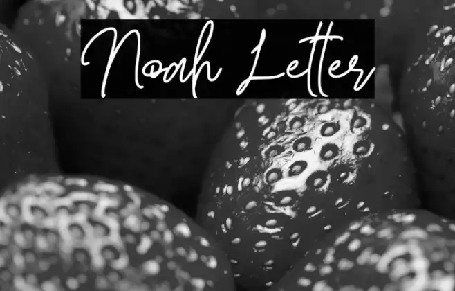 Noah Letter Example 1