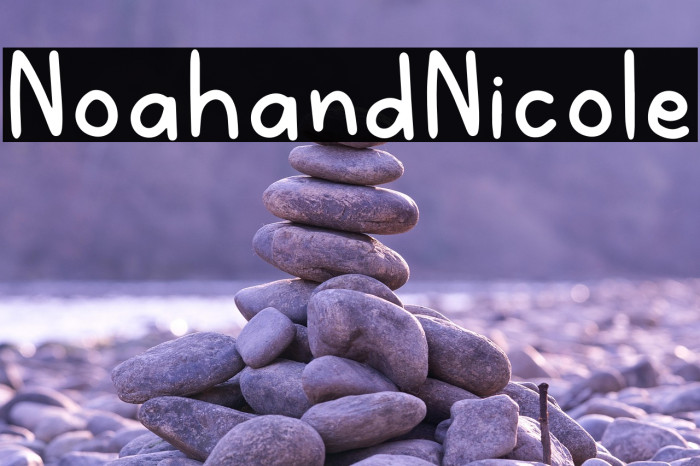 NoahandNicole Example 1