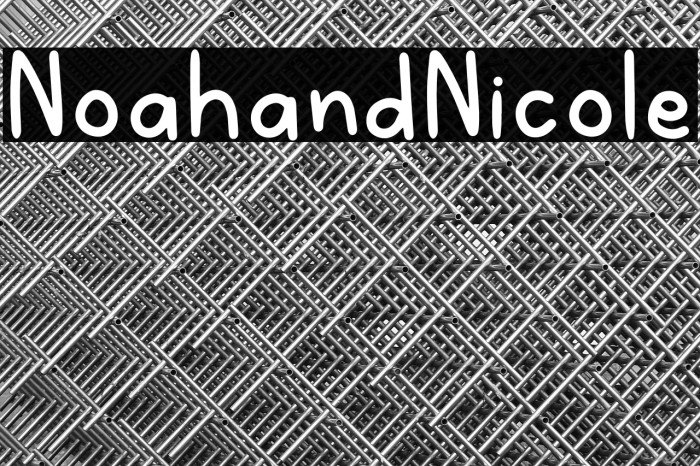 NoahandNicole Example 2