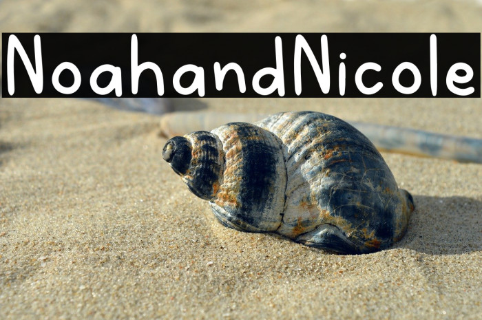 NoahandNicole Example 3