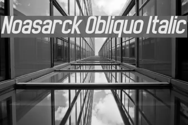 Noasarck Obliquo Italic Font examples