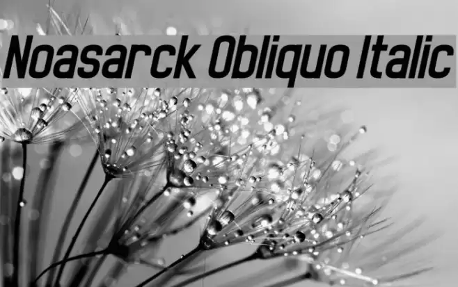 Noasarck Obliquo Italic Font examples