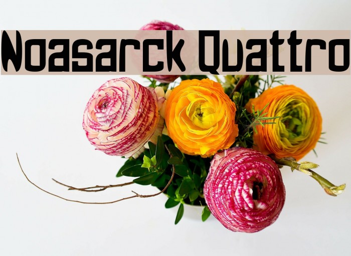 Noasarck Quattro Font examples