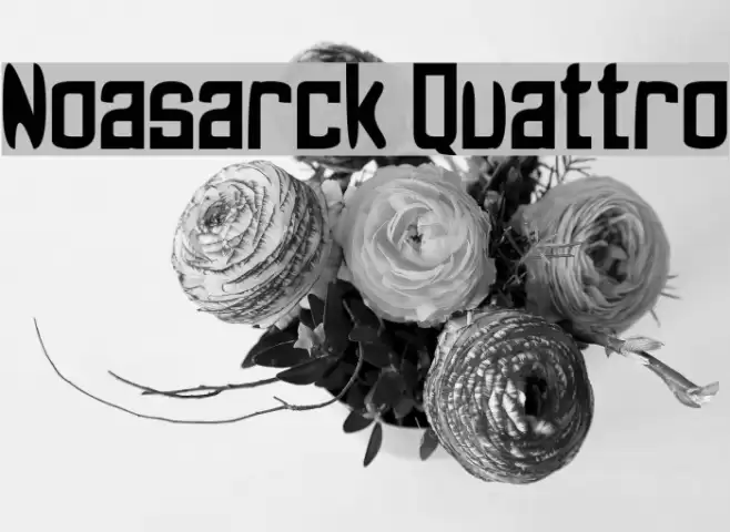 Noasarck Quattro Font examples