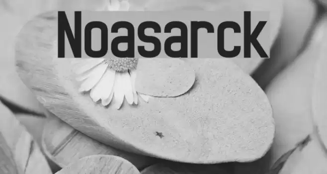 Noasarck Font examples