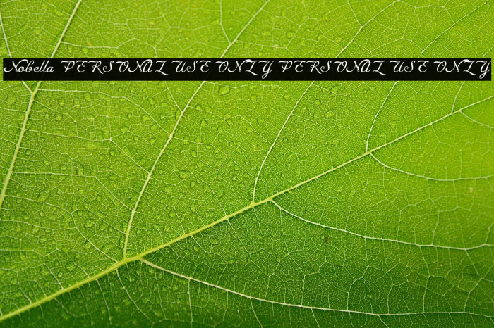 Nobella PERSONAL USE ONLY PERSONAL USE ONLY Example 2