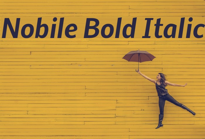 Nobile Bold Italic Font examples