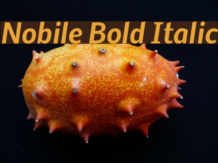 Nobile Bold Italic Font examples
