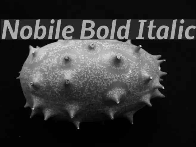 Nobile Bold Italic  examples