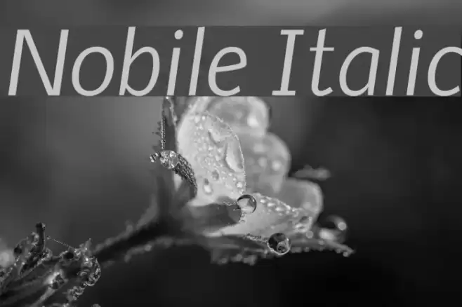 Nobile Italic Font examples
