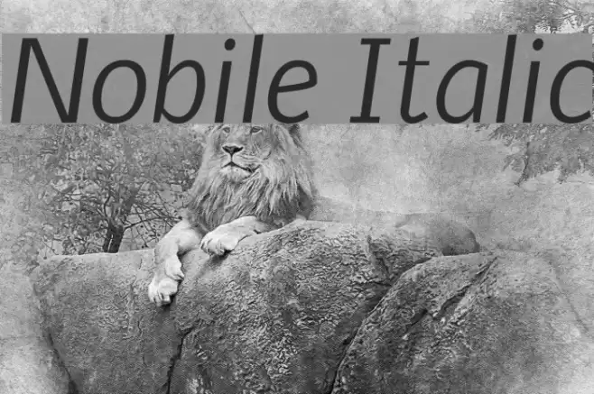 Nobile Italic Font examples