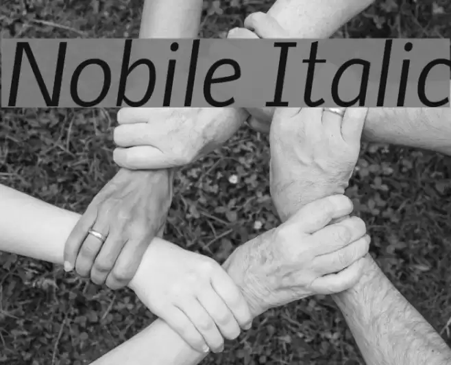 Nobile Italic Font examples