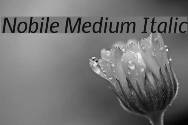Nobile Medium Italic Font examples