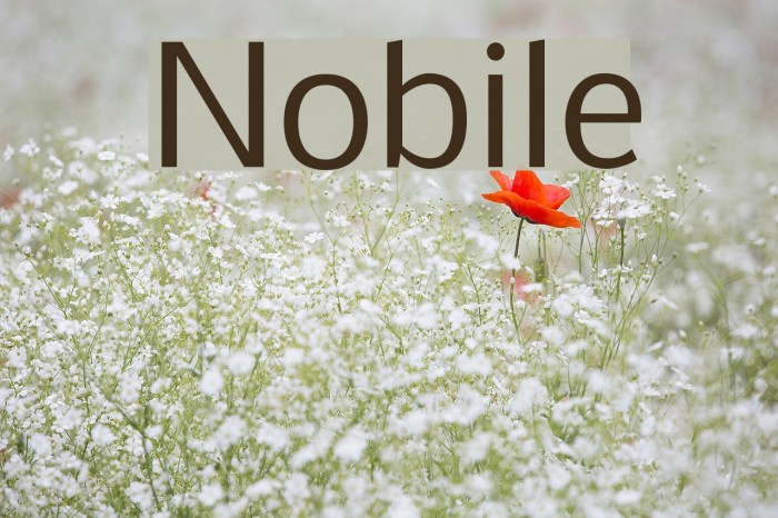 Nobile Font examples