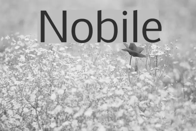 Nobile خط examples