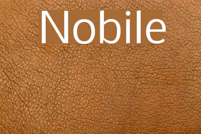 Nobile Font examples