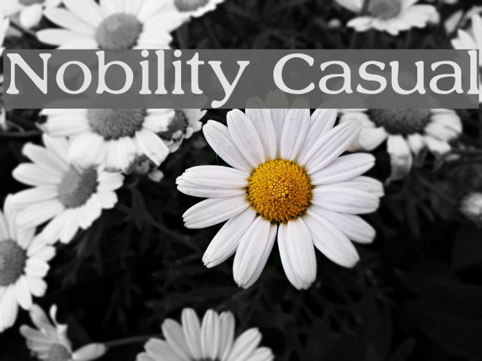 Nobility Casual フォント examples