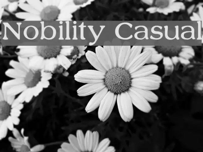 Nobility Casual Example 2