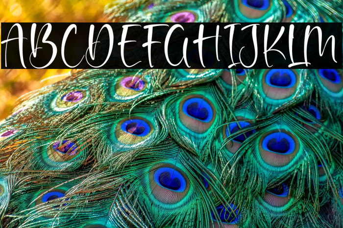 Noble Dream Example 3