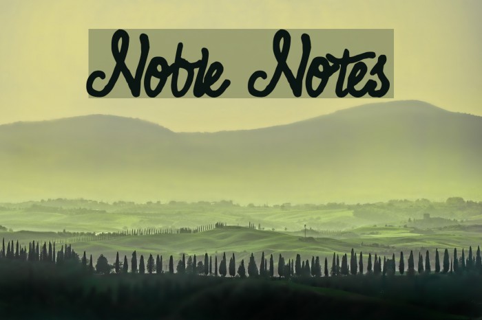 Noble Notes Font examples