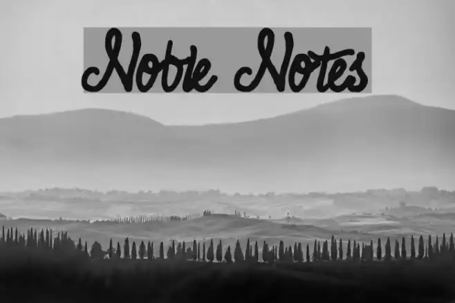Noble Notes Example 3