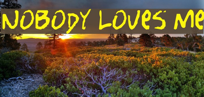 Nobody Loves Me Font examples