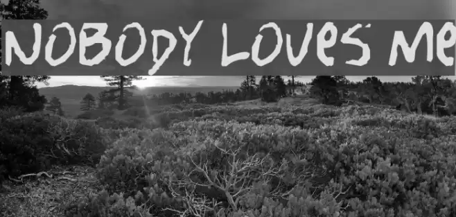 Nobody Loves Me Font examples